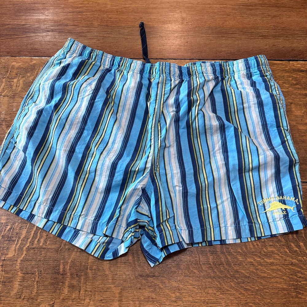 Tommy‎ Bahama Multicolor Striped Swim Trunks V